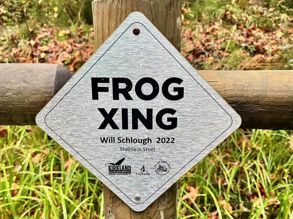 Frog crossing picture by Freelance Financial Writer Carolyn Marsh, CFA